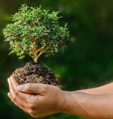 Guias y Manuales de Medio Ambiente